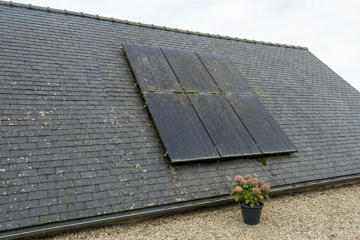 Panneaux solaires encrassés avant nettoyage